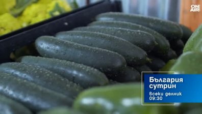 В "България сутрин" на 14 май от 09:30 часа: С колко поскъпват зеленчуците до крайния потребител?