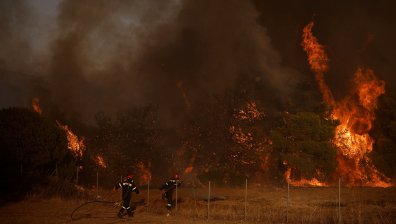 42% от горите в Атика са унищожени от пожари за 10 години