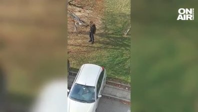 Лъч надежда: Видео в социалните мрежи показва изчезналия Александър от Перник?