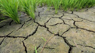 Водна криза в Техеран, 15-милионното му население може да се премести