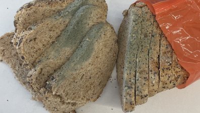 Мухлясъл хляб, опасно пиле: Сигнали към БАБХ през Helpbook