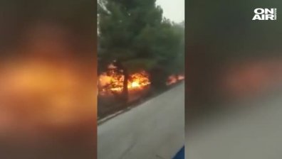 Огромен пожар бушува в гъста борова гора в Ситония