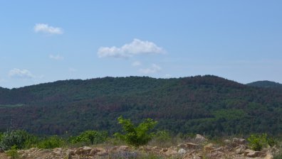 Обявиха пожароопасния сезон в горските територии в страната