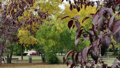 Пъстра и топла есен, чудесна за разходки, на места - и по къс ръкав