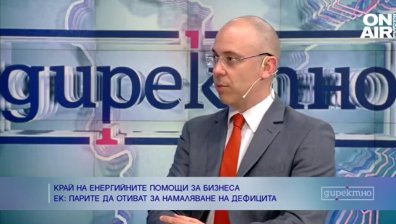Политическите проблеми ни пречат на реформите, препоръчани от ЕК