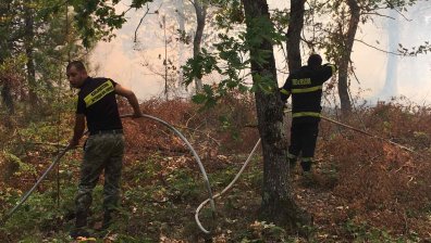 Голям пожар бушува край хасковското с. Брягово
