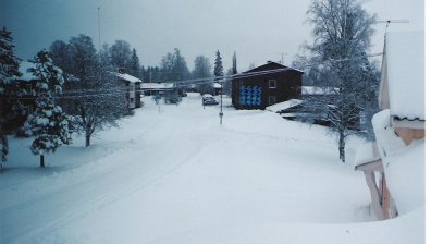 Над 35 загинали заради студа в Европа