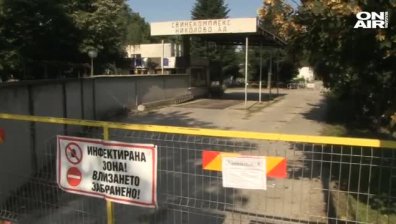 Свинекомплексите в Русе започват подготовка за възстановяване на дейността си