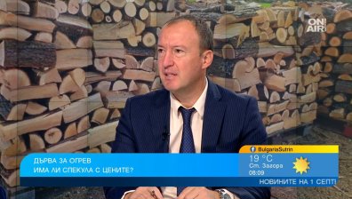 30% ръст в заявките за дърва за огрев, не ги изгаряме достатъчно ефективно