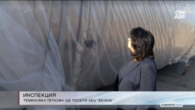 Теменужка Петкова на инспекция на площадката на АЕЦ "Белене"