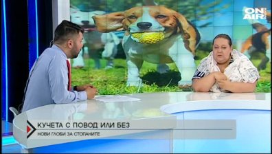 Намордникът е опасен за кучетата