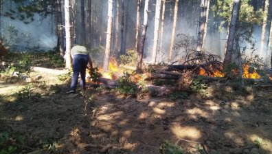 Заради жегата и вятъра: Пожарът над село Виден пламна отново