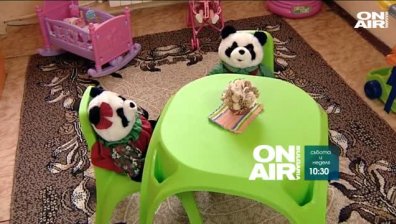 Децата, родителите и правата