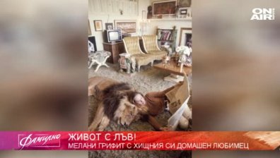 Да отраснеш с лъв: Историята на Типи Хедрън