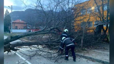 Десетки сигнали за проблеми след силния вятър в София
