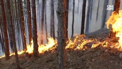Пожарът в Кресна обхвана 15 хил. дка., опасността остава!