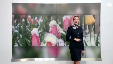 Централна прогноза