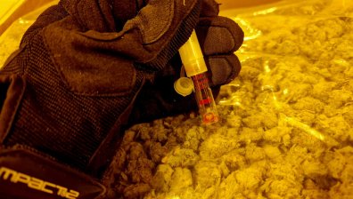 Откриха над 21 кг канабис  в товарен автомобил на "Калотина"