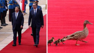 Патета отнеха предимството на Си Дзинпин в Сърбия, минаха първи по червения килим (СНИМКИ)