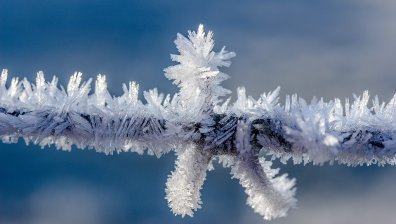 40-сантиметрова снежна покривка изненада канадския Калгари