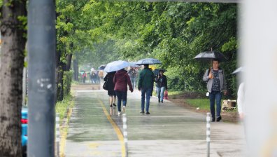 Валежи и студ с кодове за опасно време обхващат страната (+КАРТА)