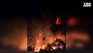 Пожар избухна в района на Виетнамското селище в Козлодуй