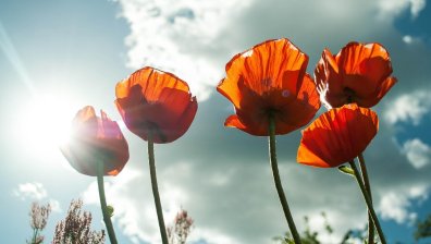 Времето днес: Слънчево, ветровито и с температури до 20°