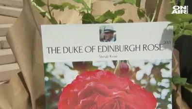 Кралица Елизабет II посади роза в памет на принц Филип (+ВИДЕО)