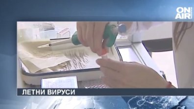 Обедна емисия