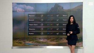 Централна прогноза