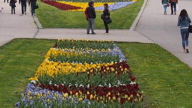 Глобиха 23-ма във Варна, разхождали се в Морската градина