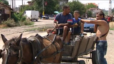 Протест срещу каруците в София: Не на насилието над животни
