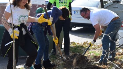 Още 375 дръвчета ще засади ЧЕЗ Електро по време на инициативата We Do Green