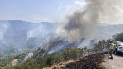 Реалността след пожарите: Недостатъчна държавна помощ и липсващи застраховки на имотите