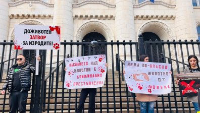 Продължават протестите с искане за доживотен затвор за насилниците на животни