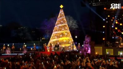 Тръмп запали светлините на коледното дърво пред Белия дом