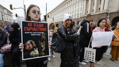 Пореден протест пред парламента за ефективни наказания за насилието над животни