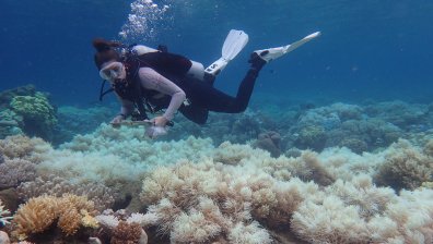 Екосистемите са пред колапс заради глобалното затопляне