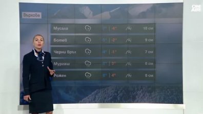 Централна прогноза