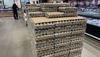 БАБХ: Внесените украински яйца носят на черупката си код, доказващ произхода им