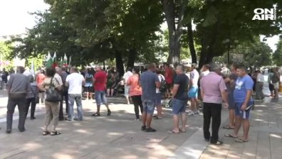 Откриха мъртво диво прасе край Чипровци, съмненията са за африканска чума