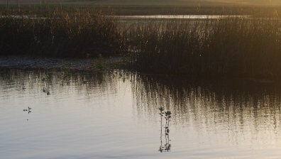 83-годишен мъж се е удавил в езеро в Пазарджик