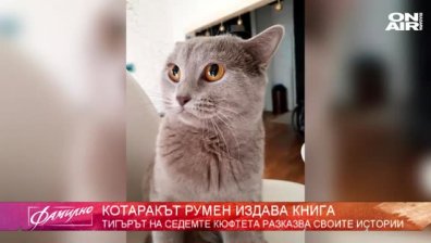 Котаракът Румен издава книга!