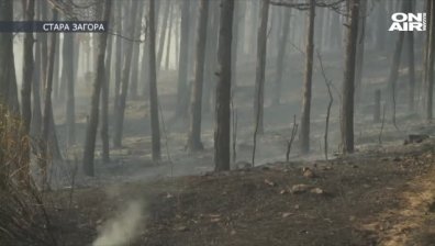 Небрежност, детска игра или умишлен - версиите за пожара в Стара Загора