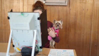 Гафове с машините: "Бели" бюлетини и технически сривове в някои секции