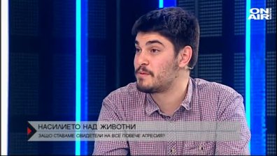 Явор Гечев - Фондация "4 лапи": Сигналите за насилие над животни са ежедневие