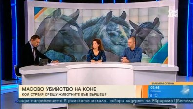 От боготворящи конете, до разстрелващи ги&hellip; Къде сбъркахме?