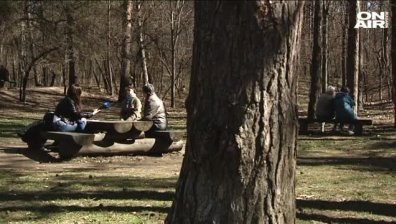 В Международния ден на хората със синдром на Даун
