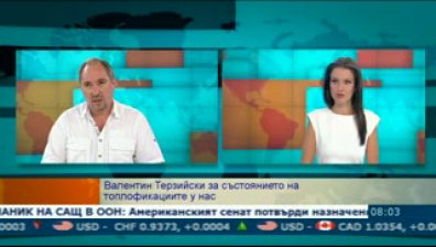 В. Терзийски: Новият модел на ценообразуване на тока ще доведе до фалити