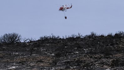 Горски пожар наложи евакуацията на 3000 души от Тенерифе